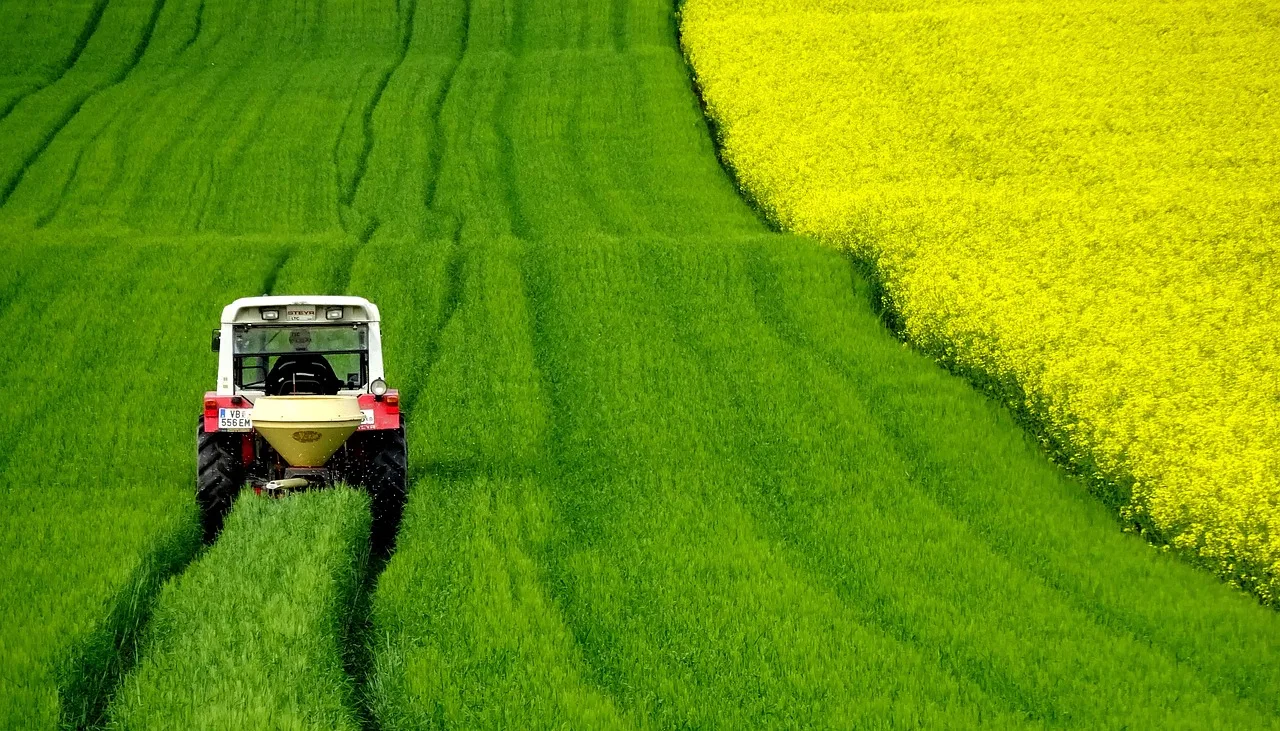 Diserbante a basso impatto: le alternative green alla chimica aggressiva
